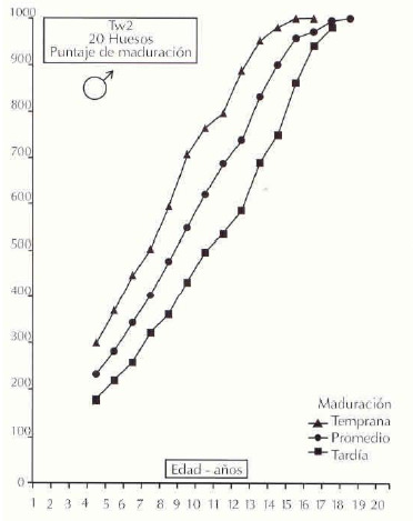 Figura 3 Edad ósea según ritmo de maduración