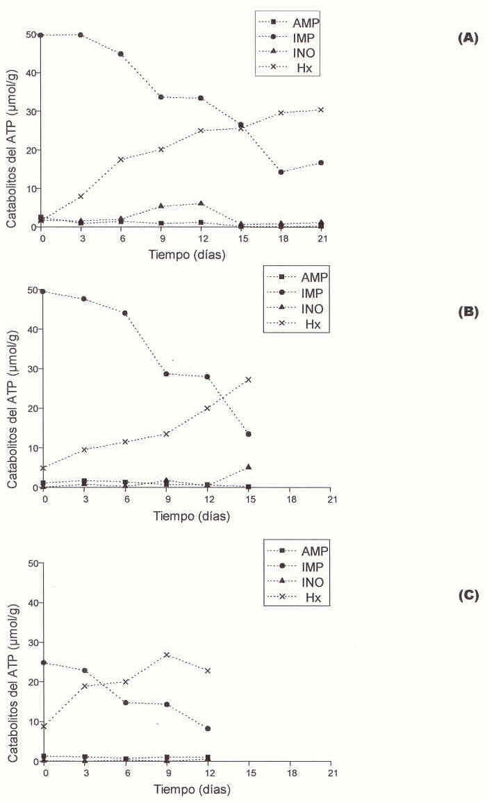Cambios en la concentración de nucleótidos en el músculo dorsal de la tilapia (<i>Oreochromis</i> spp) almacenada a 0ºC luego de (A) 0 h de TRR; (B) 4 h de TRR; (C) 8 h de TRR. AMP (Adenosin Monofosfato); Inosina Monofosfato (IMP); Inosina (INO), Hipoxantina (Hx)