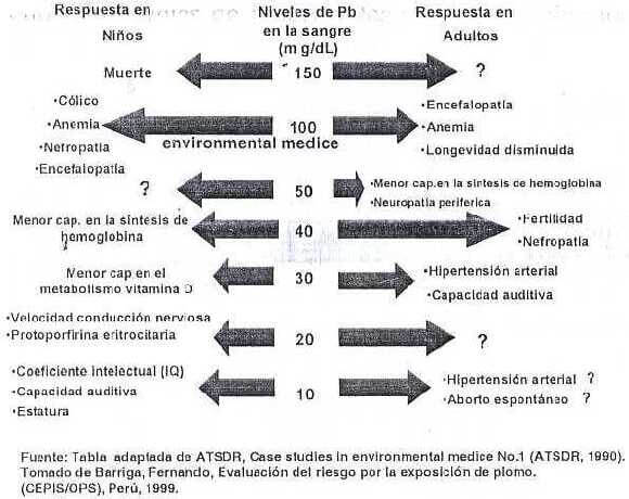 Figura 2. Niveles de plomo en sangre y sus efectos en niños y adultos.