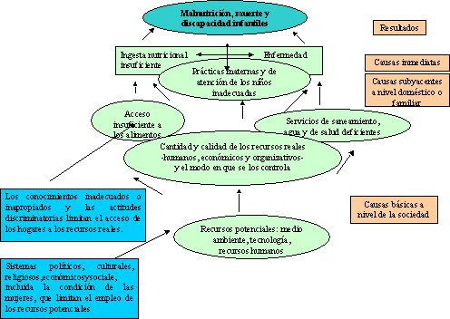 CAUSAS DE LA MALNUTRICIÓN