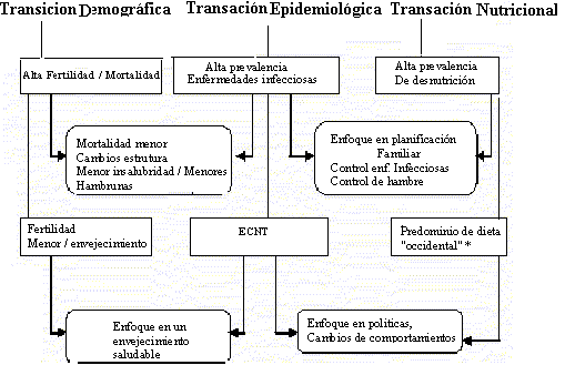 Figura 1: Etapas de transiciones.