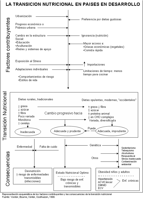 Figura 2: La transición nutricional en países en desarrollo