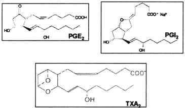 Figura 1. Estructura de los prostanoides: prostaglandina E2, prostaciclina I2 y tromboxano A2 derivados del ácido araquidónico.