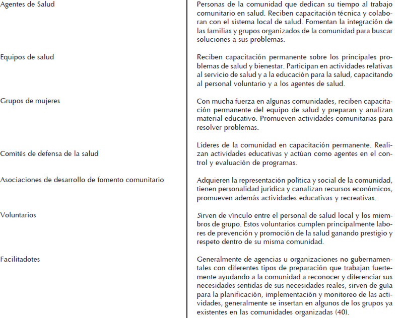 Cuadro 6. Factores principales del trabajo comunitario en salud