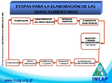 Figura1. Etapas para la elaboración de las Guías Alimentarias.