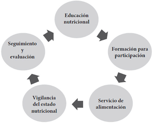 Figura 1. Educando en alimentación y nutrición: Componentes