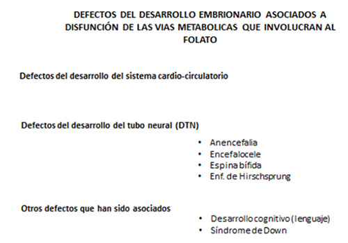 FIGURA 4: Cuadro resumido de los defectos del desarrollo embrionario para los cuales existe evidencia epidemiológica y experimental de su asociación a deficiencia pre-concepcional de ácido fólico.