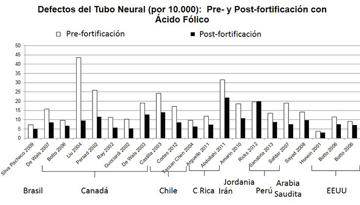 Figura 4. Estudios de efectividad que reportaron defectos del tubo neural antes y después del inicio de la fortificación con ácido fólico de harina de trigo o harina de maíz.