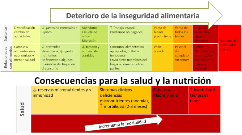 Figura 1. Precios de alimentos elevados, inseguridad alimentaria y consecuencias para la salud y nutrición
Fuente: Klotz C, de Pee S, Thorne-Lyman A, Kraemer K, Bloem M,2008 (2)