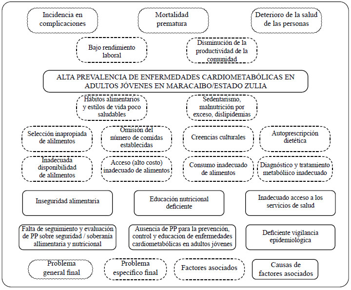 Figura 1. Árbol del problema del asunto público local