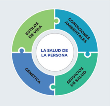 Figura 1. Determinantes de la salud según Lalonde y Denver. Fuente: Adaptado de Shmarina et al 2021(12)