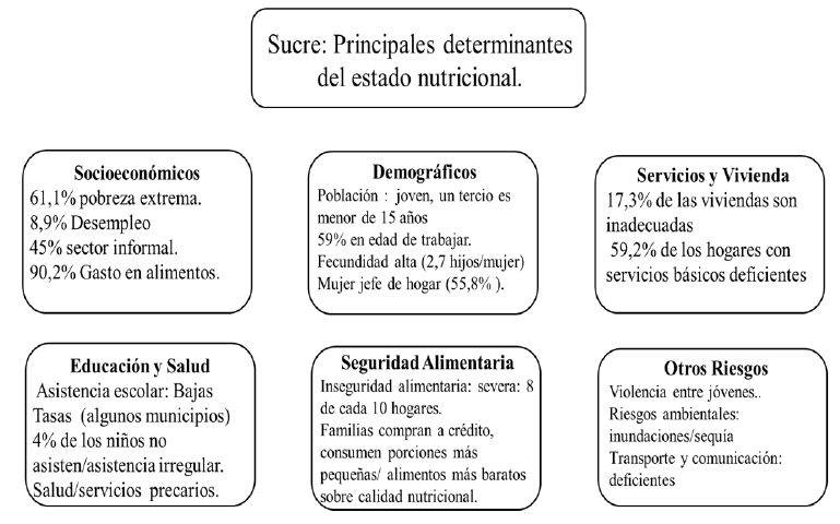 Figura 3. Principales determinantes del estado nutricional en el Estado Sucre