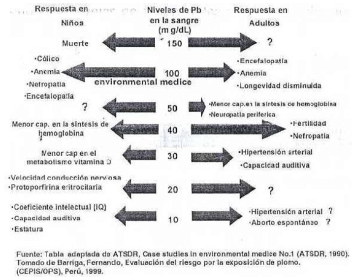 Figura 2. Niveles de plomo en sangre y sus efectos en niños y adultos.