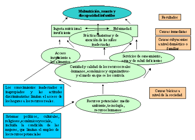 Figura 1. Causas de malnutrición. Fuente: UNICEF. Strategy for improved nutrition of children and woman in developing countries. UNICEF policy review. New York:UNICEF; 1991. (5)