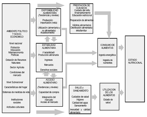 Figura 2. Modelo para la Seguridad Alimentaria Nacional, una visión global a través de sus distintas dimensiones.