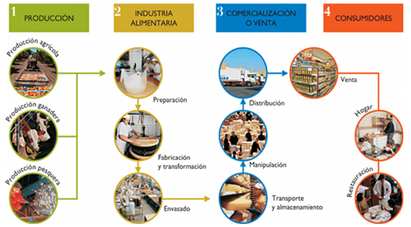Figura 1. Componentes de la cadena de valor de los alimentos.