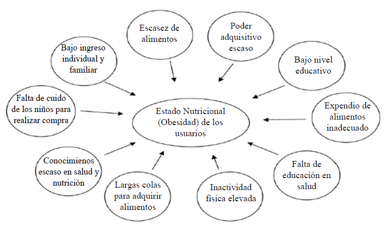 Figura 1. Resumen de los factores que inciden sobre la presencia de obesidad en individuos que pertenecen a estratos socioeconómicos desfavorecidos